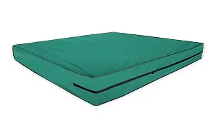 The Furnishing Tree Polyester Waterproof Large Queen Size 60x78X5 inches (WxLxH) Zippered Mattress Cover Green-thumb2