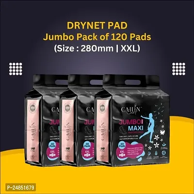 Extra Anti Bacterial Dry Net Sanitary Pads with Wings For Women and Girls  Pack of 3 (120 Pads )