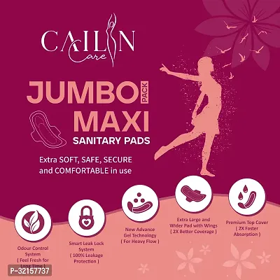 Leak Proof Antibacterial Sanitary Pads For Women-thumb4