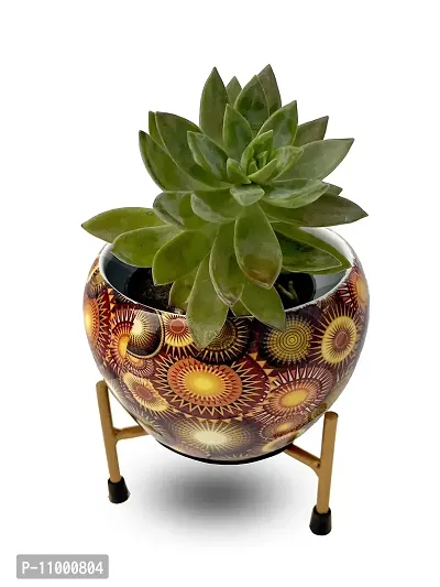 R Ayurveda Copper Designer Indoor Plant Pots with Stand - Table Top Decorative Metal Plant Pots for Living Room, Balcony and Garden Gift Pot