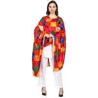 SWI WITH LABEL Women's Embroidered Phulkari Chiffon Dupatta-thumb1