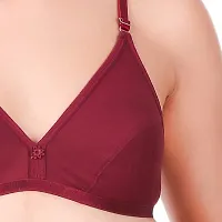 Stylish Maroon Bra  Panty Set For Women-thumb2