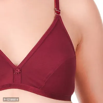 Stylish Maroon Bra  Panty Set For Women-thumb3