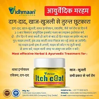 Vidhmaan Ayurvedic ItchCoat Anti fungal Malam - for Ringworm, itching, Eczema  Skin Infection, Skin Tretment, Skin Care Cream For Men And Women 22 G-thumb3