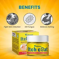 Vidhmaan Ayurvedic ItchCoat Anti fungal Malam - for Ringworm, itching, Eczema  Skin Infection, Skin Tretment, Skin Care Cream For Men And Women 22 G-thumb1