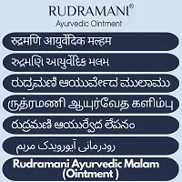 Rudramani Ayurvedic Marham Malam For Anti Skin fungal Infection, itching, Skin Tretment, Ringworm, Eczema, Burn Mark, Foot Crack Care, Skin Care Cream 25 GR-thumb1