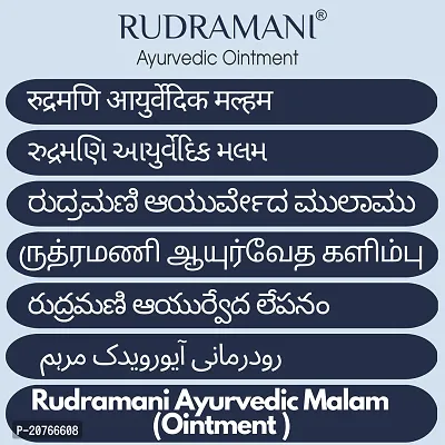 Rudramani Ayurvedic  Malam For Anti Dad Khaj khujli Skin fungal Infection, itching, Skin Tretment, Ringworm, Eczema, Burn Mark, Foot Crack Care 25G-thumb3