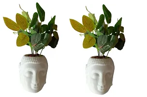 MoneyPB2016 Artificial Money Plant with Buddha Pot Pack of 2 PCS Pack of 2 PCS-thumb3