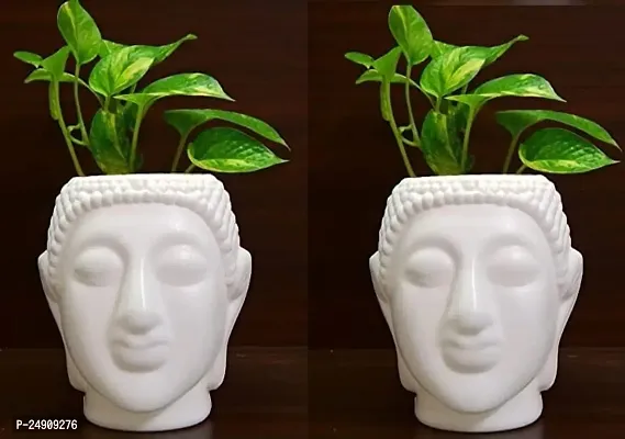 MoneyPbuddha1006 Artificial Money Plant with Buddha Pot Set of 2 PCS