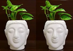 MoneyPbuddha1006 Artificial Money Plant with Buddha Pot Set of 2 PCS-thumb1