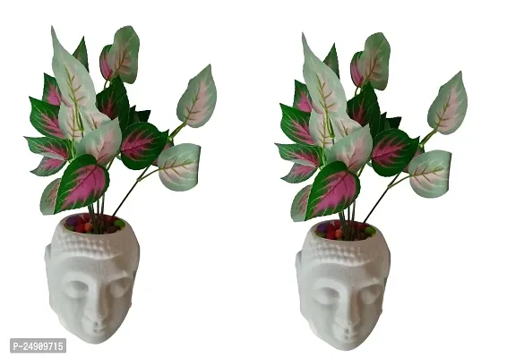 MoneyPB2015 Artificial Money Plant with Buddha Pot Pack of 2 PCS Pack of 2 PCS-thumb3