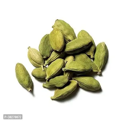 Elachi Cardamom Spice Herbaceous Hybrid Plant-thumb0