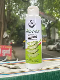 Gently Revitalize Your Hair with Aloe ACV Shampoo - Sulfate-Free and Luxuriously Effective (100ML) Aloe ACV Shampoohellip;-thumb1