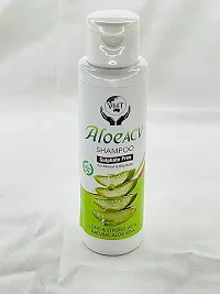 Gently Revitalize Your Hair with Aloe ACV Shampoo - Sulfate-Free and Luxuriously Effective (100ML) Aloe ACV Shampoohellip;-thumb2