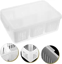 tvAt 1 Pcs Kitchen Spring Onion Storage Box - 4+6-in-1 Food Storage Container | Food Storage Containers for Ginger, Garlic, Onions, Cherries and Vegetables Drip-thumb4