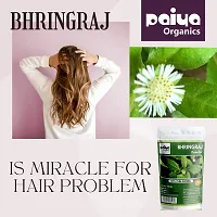 Paiya Organics: 100GM | Bhringraj Powder For Hair Care (2x100)-thumb3