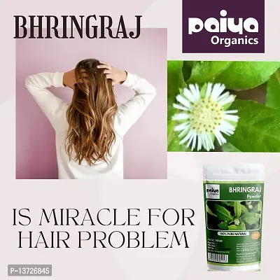 Paiya Organics: 100GM | Bhringraj Powder For Hair Care (2x100)-thumb4