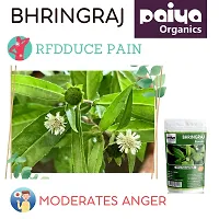 Paiya Organics: 100GM | Bhringraj Powder For Hair Care (2x100)-thumb1