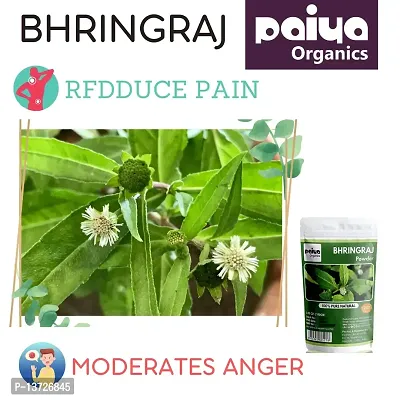 Paiya Organics: 100GM | Bhringraj Powder For Hair Care (2x100)-thumb2