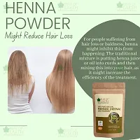 Bliss of Earth 100% Pure  Natural Henna Powder | 100GM | Natural Hair Color |Shiny Hair | Mehandi Powder-thumb3