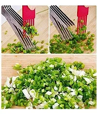 Stainless Steel 5 Blade Vegetable Scissor For Kitchen-thumb1