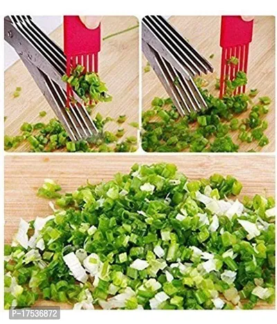 Stainless Steel 5 Blade Vegetable Scissor For Kitchen-thumb2