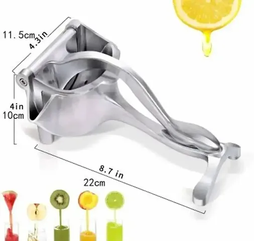 Fruit Juicers