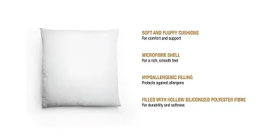 AVI Set of 2 Microfibre Cushions-18x18 (White)-thumb3