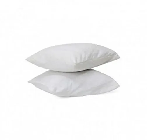 AVI Set of 2 Microfibre Cushions-18x18 (White)
