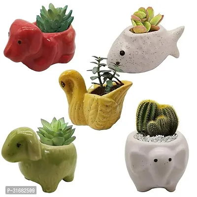 Ceramic Flower Pot Planter Pack of 5