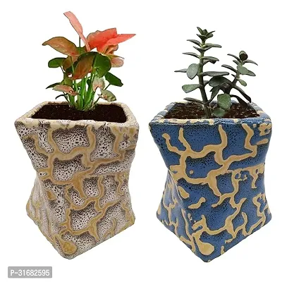 Ceramic Flower Pot Planter Pack of 2