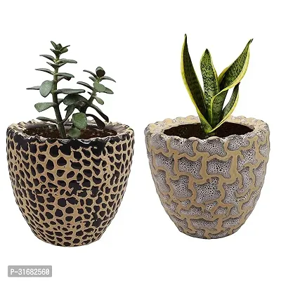 Ceramic Flower Pot Designer Planter Vase Pack of 2