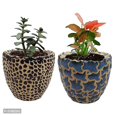 Ceramic Flower Pot Designer Planter Vase Pack of 2