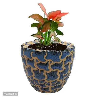 Ceramic Flower Pot Designer Planter Vase Pack of 1