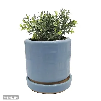 Cup Plate Ceramic Flower Pot Planter-thumb0