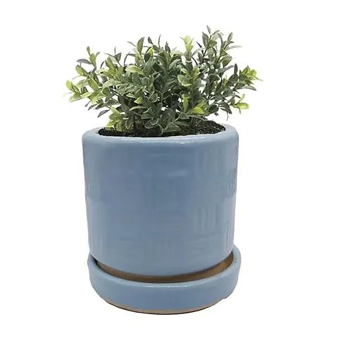 Hot Selling Plant & Planters 