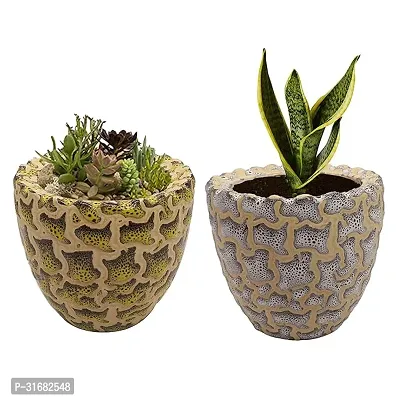 Ceramic Flower Pot Designer Planter Vase Pack of 2