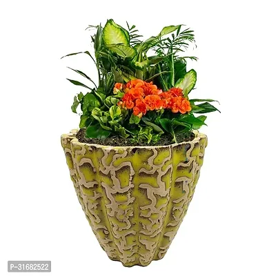 Ceramic Flower Pot Designer Planter Vase Pack of 1