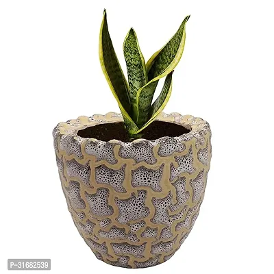 Ceramic Flower Pot Designer Planter Vase Pack of 1-thumb0