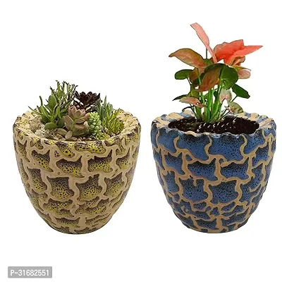 Ceramic Flower Pot Designer Planter Vase Pack of 2