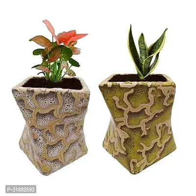 Ceramic Flower Pot Planter Pack of 2