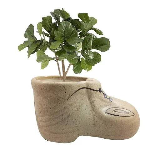 Best Selling Plant & Planters 