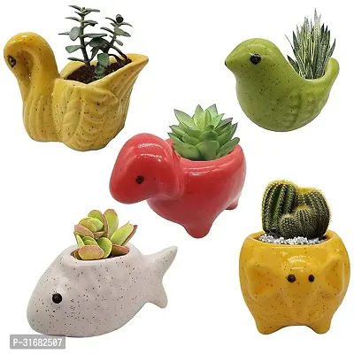 Ceramic Flower Pot Planter Pack of 5