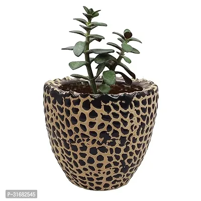 Ceramic Flower Pot Designer Planter Vase Pack of 1