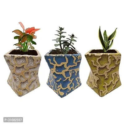 Ceramic Flower Pot Planter Pack of 3