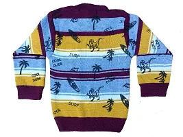 Classic Wool Printed Kids Boys Sweaters Pack of 2-thumb3