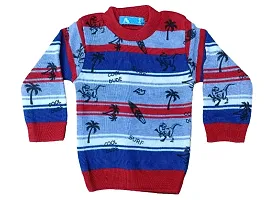 Classic Wool Printed Kids Boys Sweaters Pack of 2-thumb3