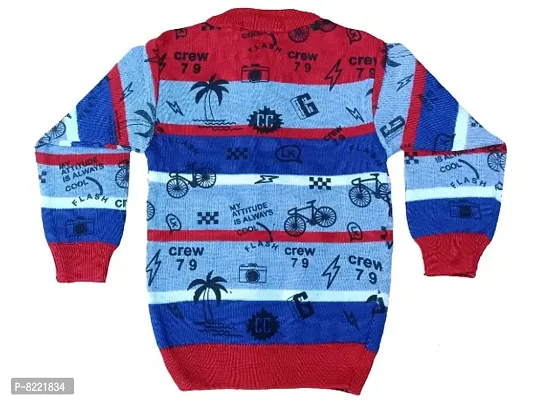 Classic Wool Printed Kids Boys Sweaters Pack Of 2-thumb3