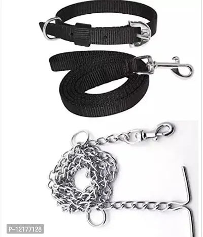 Dogs belt sales and chain online