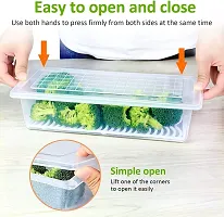 FLYFAR Fridge Storage Boxes (Pack of 4) Fridge Organizer with Removable Drain Plate and Fridge Storage Containers Plastic Freezer Storage Containers for Fish, Meat, Vegetables, Fruits-thumb3